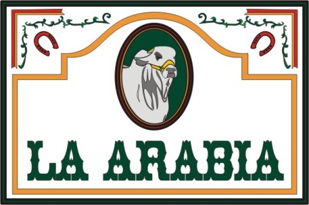 La Arabia main image