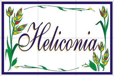 Heliconia-image